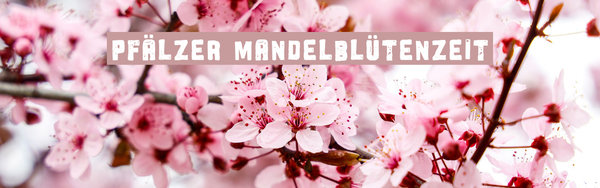 Pfälzer Mandelblütenzeit, Bild mit link zur Aktion