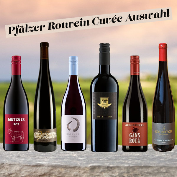 Rotwein Cuvée Auswahl | 6 Cuvées | 6 Winzer | Pfalz | Rot | Weinpaket